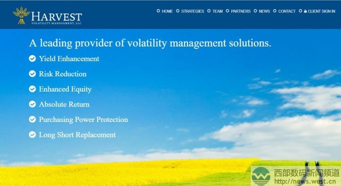 同行卖的!投资顾问公司收购三字母域名HVM.COM